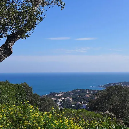 Le Grand Boucharel Ii